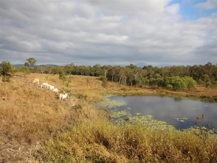 Seventh view of Homely rural property listing, Lot 25 Marion Settlement Road, Ilbilbie QLD 4738