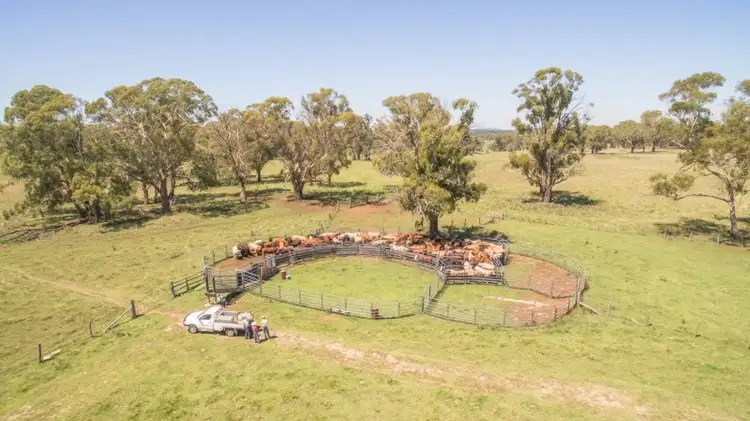 Second view of Homely rural property listing, Elderbury 250 Northbrook Road, Guyra NSW 2365