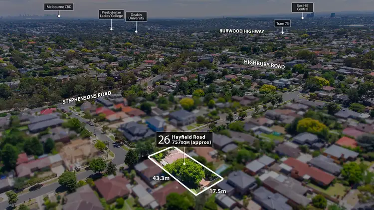 Main view of Homely house listing, 26 Hayfield Road, Mount Waverley VIC 3149