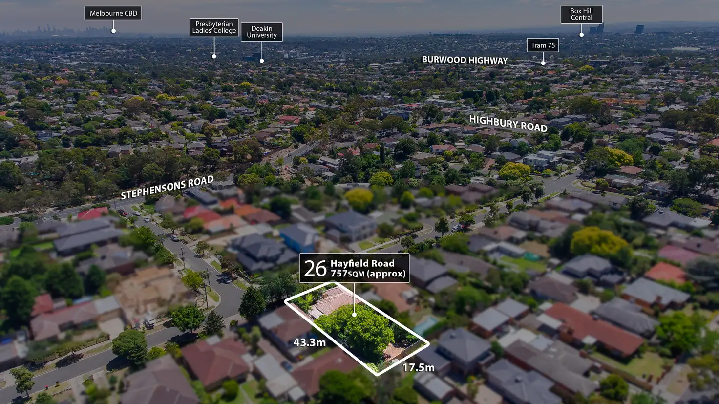 Main view of Homely house listing, 26 Hayfield Road, Mount Waverley VIC 3149