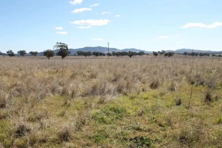 145 Bridges Road, Quirindi NSW 2343