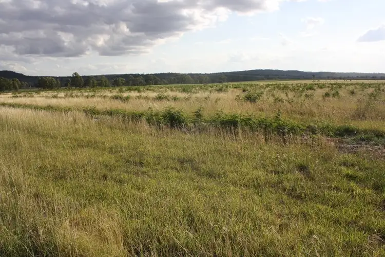 Fifth view of Homely rural property listing, "Washpool" Washpool Road, Gayndah QLD 4625