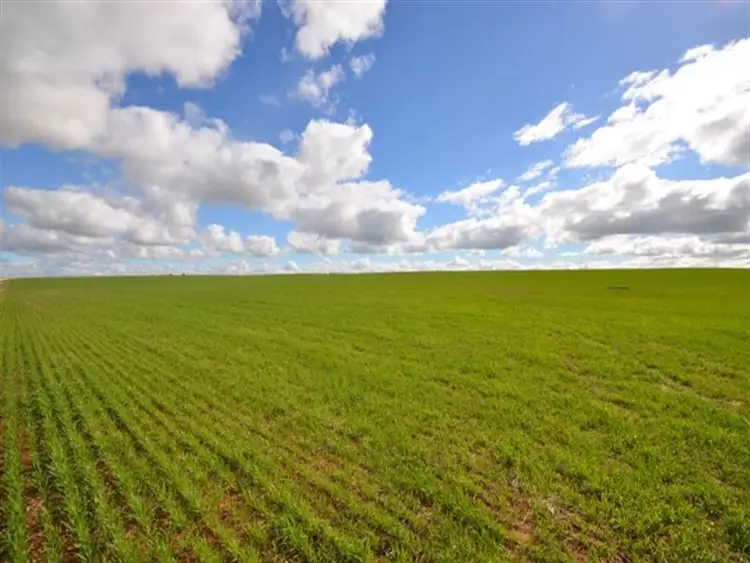Second view of Homely rural property listing, "Glendale" 3 Lots, Burra SA 5417