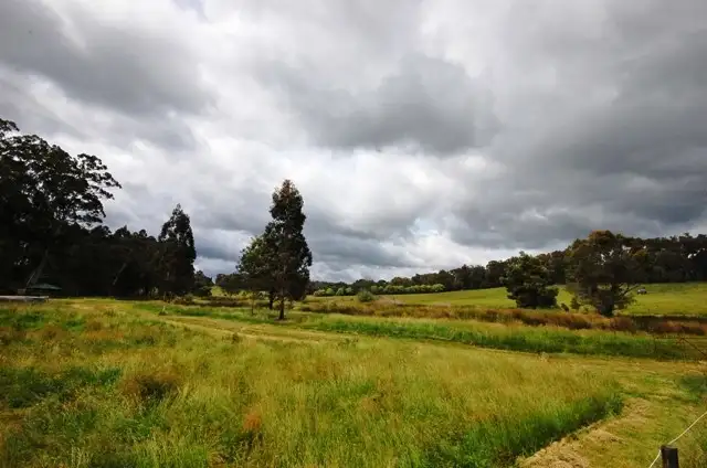 Main view of Homely house listing, 175-185 Beenak Road, Yellingbo VIC 3139