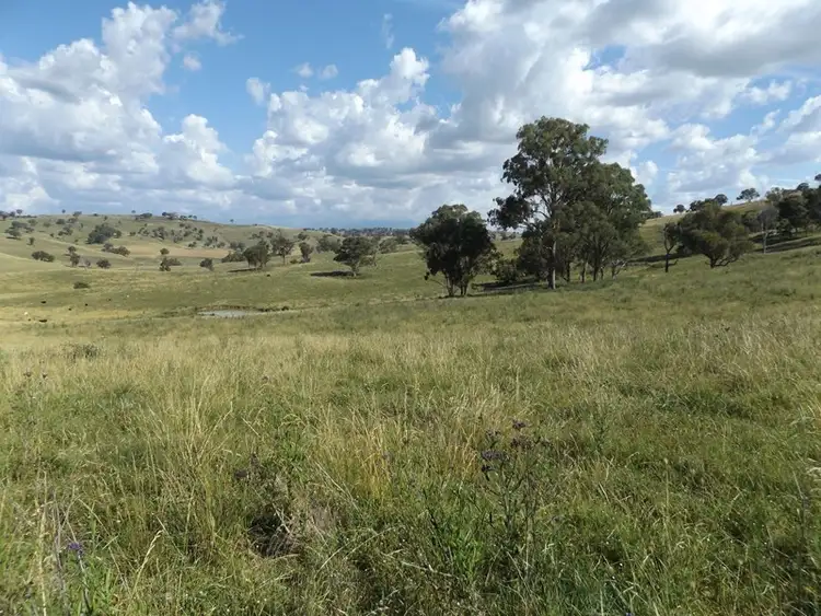 1028 Torrington Road, Deepwater NSW 2371