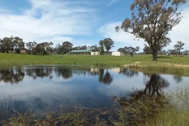 Main view of Homely rural property listing, 1305 Carlwood Road, O'connell NSW 2795