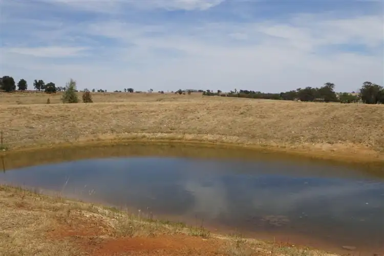 Seventh view of Homely house listing, 606 Coomobella Road, Geurie NSW 2818