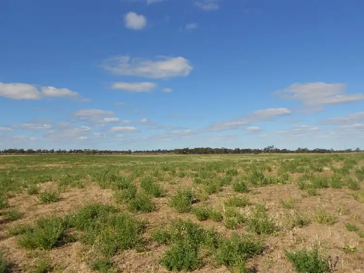 Lot 10 Dukes Highway, Tintinara SA 5266
