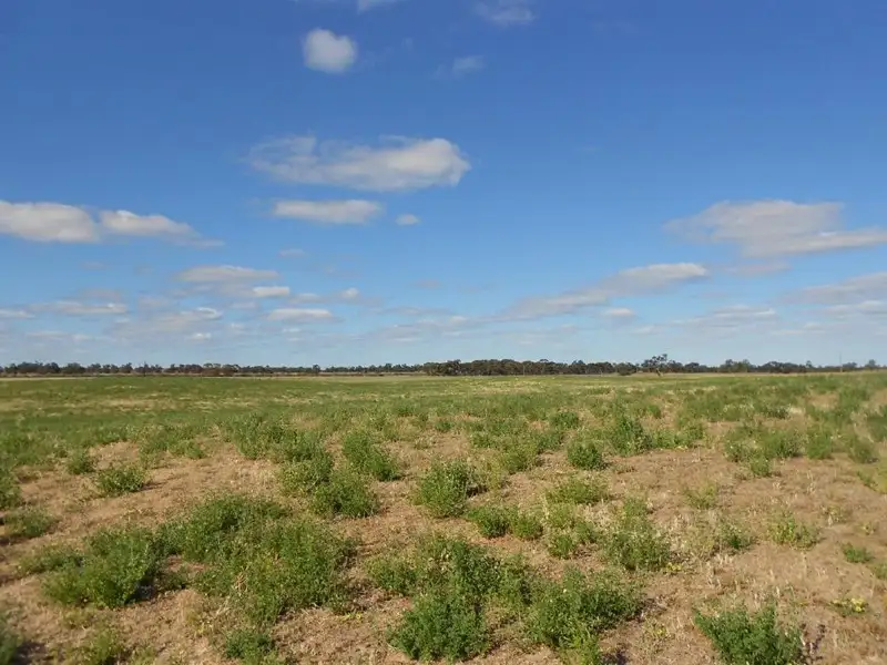 Main view of Homely rural property listing, Lot 10 Dukes Highway, Tintinara SA 5266