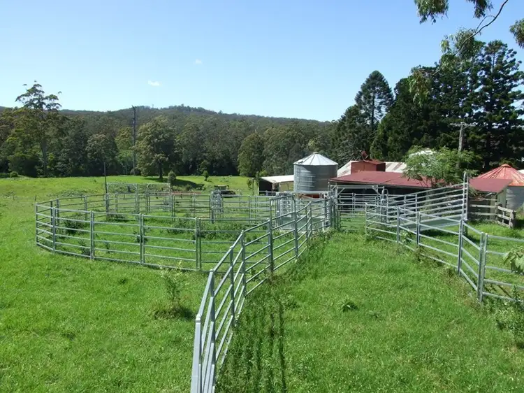Second view of Homely rural property listing, 447 National Park Road, Ravensbourne QLD 4352