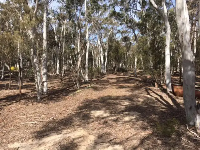 Third view of Homely rural property listing, 21 Wattle Place, Goulburn NSW 2580