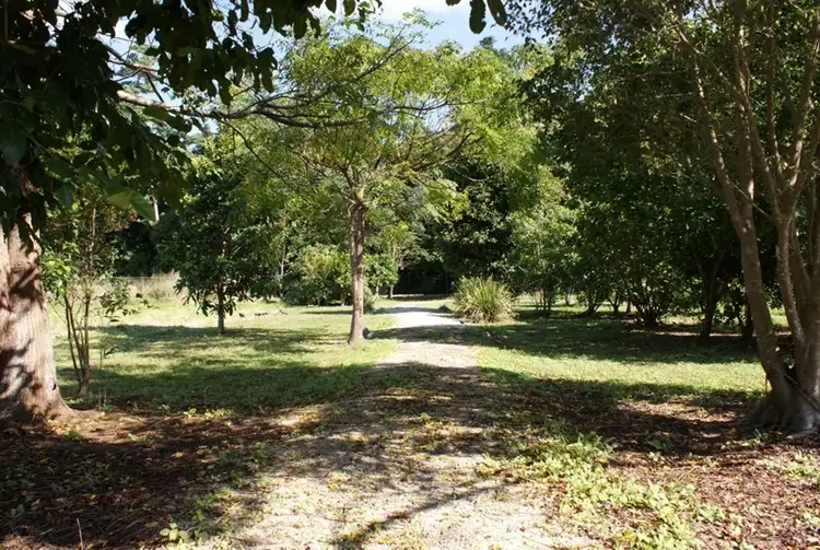 Sixth view of Homely land listing, Lot 19 Reef Close, Mission Beach QLD 4852