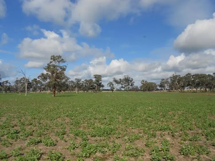 Seventh view of Homely rural property listing, 2397 Naracoorte Road, Bordertown SA 5268