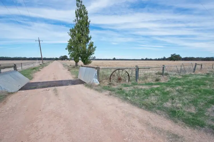 Main view of Homely house listing, 298 Pickering Lane, Speewa NSW 2735