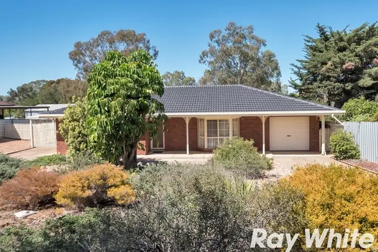 21 Jane Street, Willaston SA 5118