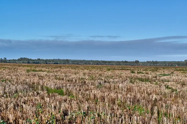Second view of Homely rural property listing, 8813 Sturt Highway, Narrandera NSW 2700