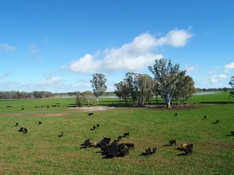 Sixth view of Homely rural property listing, 160 McPhails Road, Bundalong VIC 3730