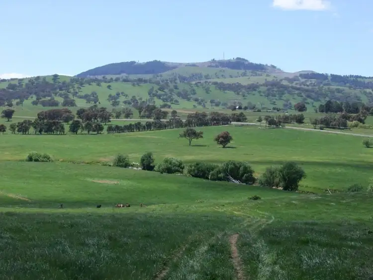 Main view of Homely rural property listing, 0 Errowanbang Road, Blayney NSW 2799