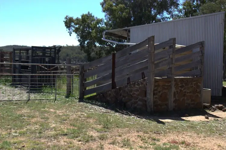 Fourth view of Homely rural property listing, 230 Tothills "BANGALAY NORTH", Coonabarabran NSW 2357