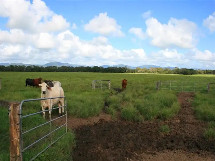 Sixth view of Homely rural property listing, 32 Perry Road, Sarina QLD 4737