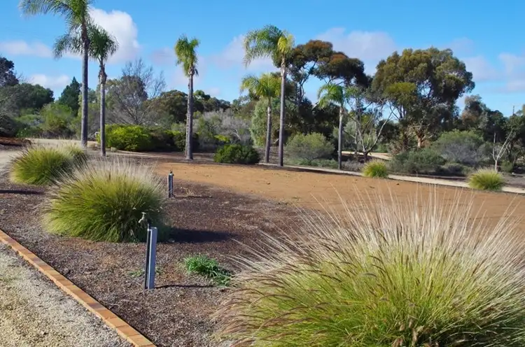 53 Murtho Road, Paringa SA 5340