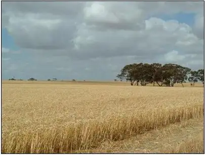 Seventh view of Homely rural property listing, 58 Curnow Road, Bordertown SA 5268