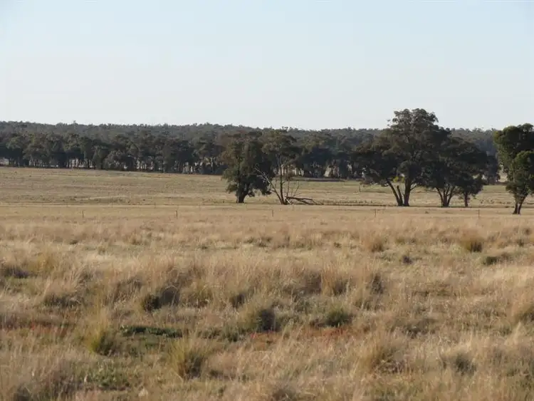 Sixth view of Homely rural property listing, 741 Lot 31 Thanowring Road, Temora NSW 2666