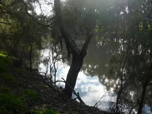 Fourth view of Homely land listing, Lot 30 Billabong Creek Drive, Conargo NSW 2710