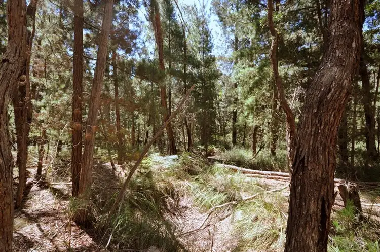Second view of Homely land listing, Lot 1 Glenelg Highway, Linton VIC 3360