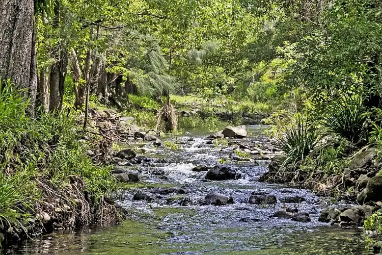 Seventh view of Homely rural property listing, 492 Brays Creek Road, Tyalgum NSW 2484