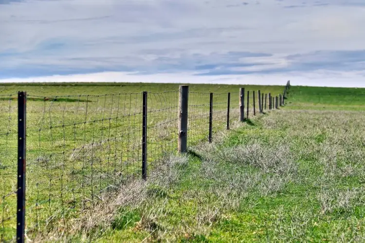 Fifth view of Homely rural property listing, 2 Lots, Wilkins Highway, Gladstone SA 5473
