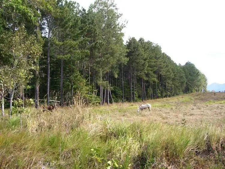 Third view of Homely land listing, 212 Euluma Creek Road, Julatten QLD 4871