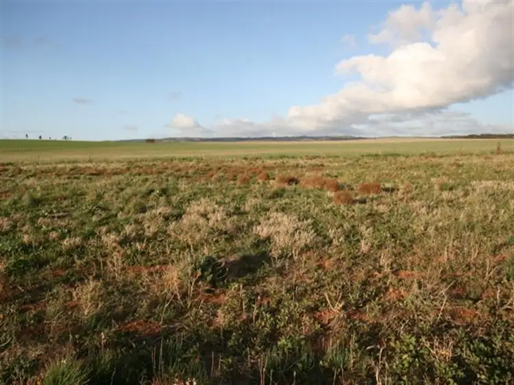 Main view of Homely land listing, Lot 26 Cook Avenue, Blyth SA 5462
