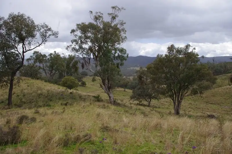 Main view of Homely rural property listing, 4207 'Otranto' Cobbedah Road, Inverell NSW 2360