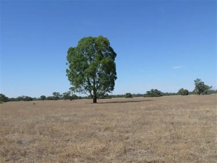 Second view of Homely rural property listing, 1 Brassi Road, Deniliquin NSW 2710