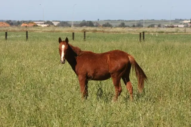 Third view of Homely land listing, 6 Ryland Terrace, Deepdale WA 6532