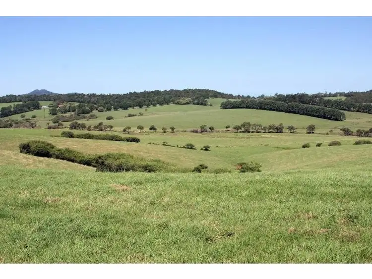 Third view of Homely rural property listing, 10 Rocky Creek Road, Dorrigo NSW 2453