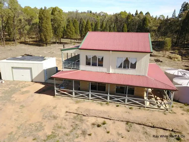 Main view of Homely rural property listing, 879 Mollyan Road, Binnaway NSW 2395
