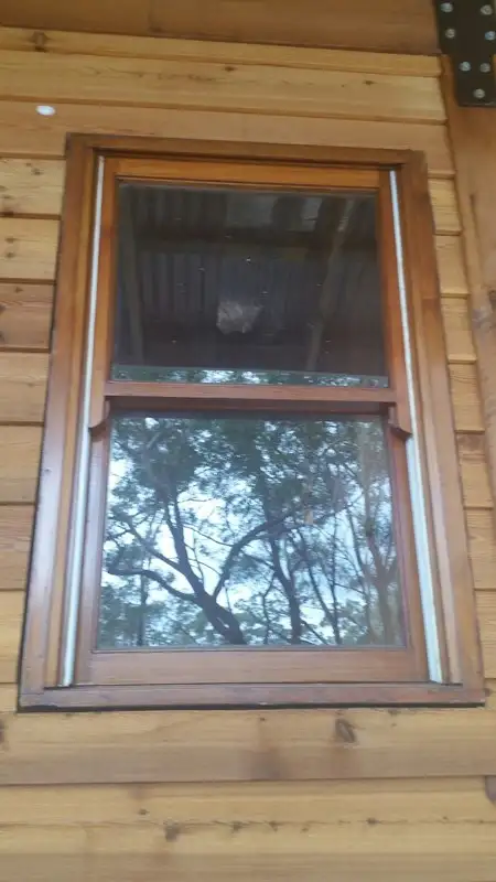 Third view of Homely house listing, 65 Fenton Road, Russell Island QLD 4184