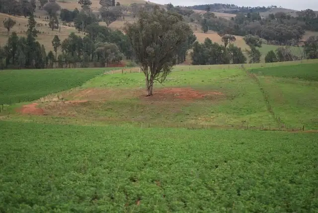 Fifth view of Homely rural property listing, Address available on request