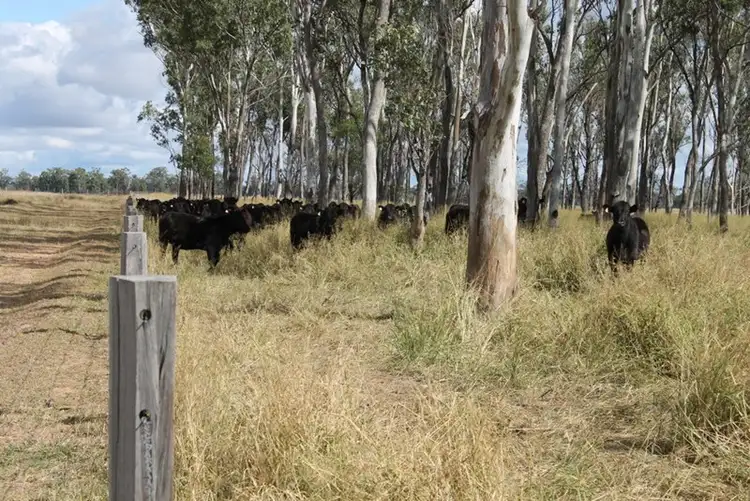 Third view of Homely rural property listing, Address available on request