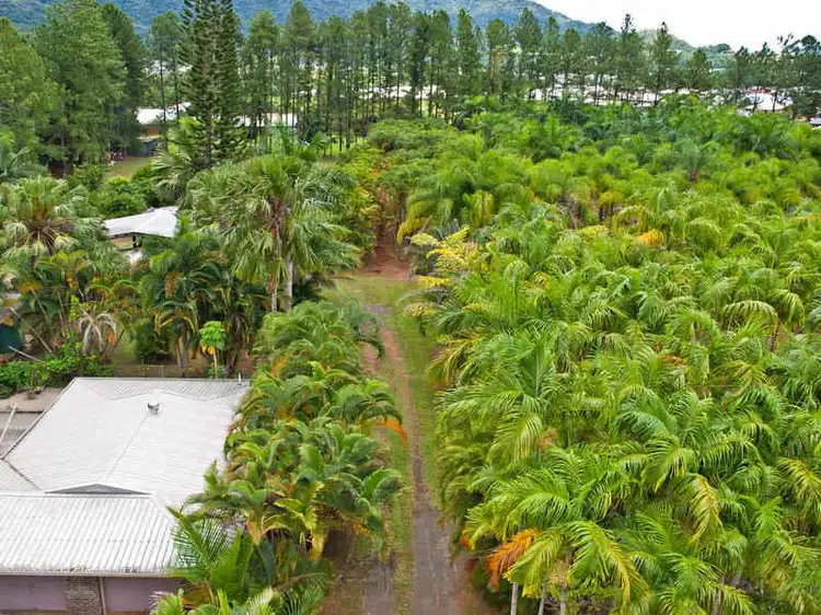 Lot 1 Mill Road, Edmonton QLD 4869