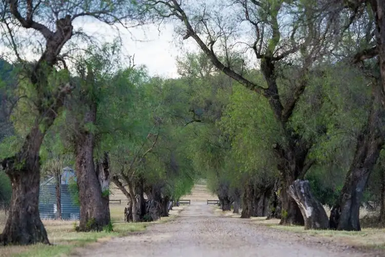 Second view of Homely rural property listing, 2729 Bundella Road, Quirindi NSW 2343