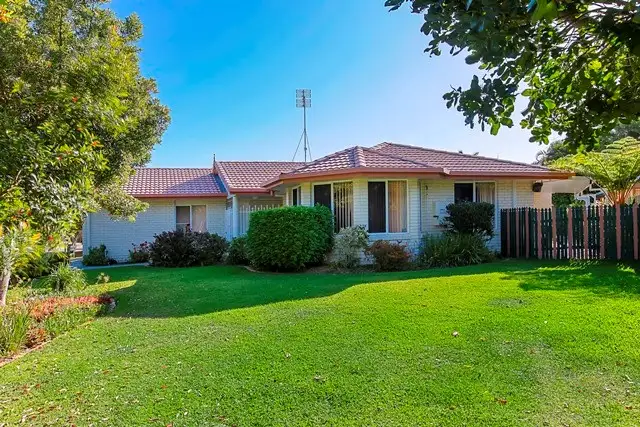 Main view of Homely house listing, 31 Satinwood Place, Mountain Creek QLD 4557