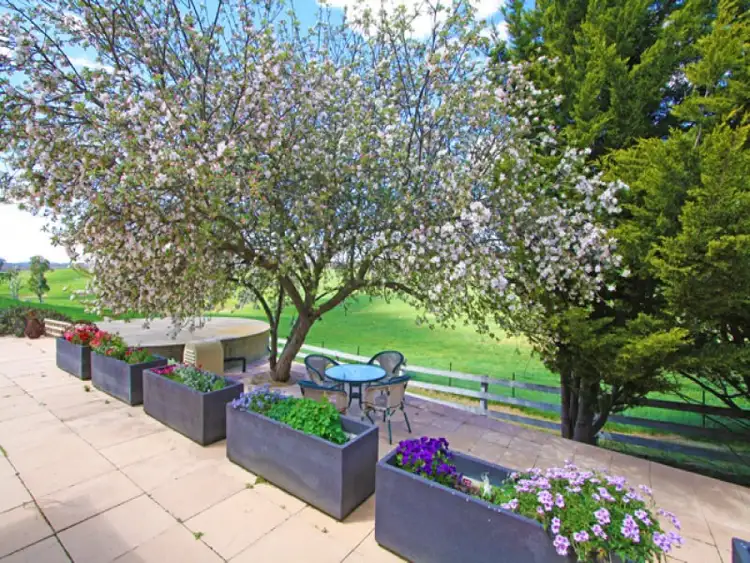 Sixth view of Homely rural property listing, 83 Neils Creek Road, Bungendore NSW 2621