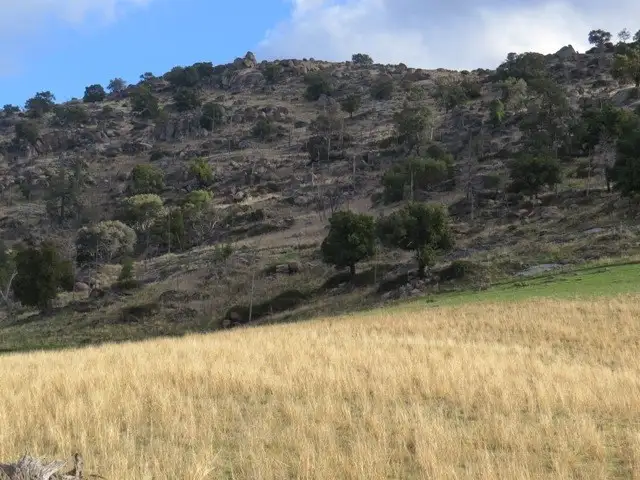 Seventh view of Homely rural property listing, Lot 141 Tarrants Gap Road, Wyangala NSW 2808