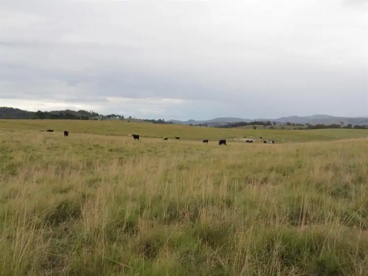Fourth view of Homely rural property listing, Lots 92 and 109 Timbarra Road, Tenterfield NSW 2372