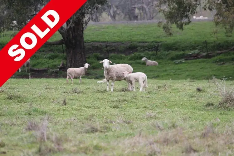 Seventh view of Homely rural property listing, 437 Tumblong Reserve Road., Tumblong NSW 2729
