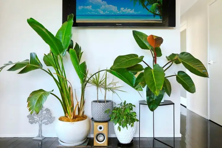 Third view of Homely house listing, 22 Cater Street, Coledale NSW 2515