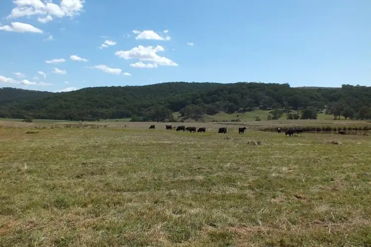 Seventh view of Homely rural property listing, Lot 1 189 Norman Lea Road, Hampton NSW 2790
